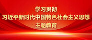 操爆你的逼逼视频学习贯彻习近平新时代中国特色社会主义思想主题教育_fororder_ad-371X160(2)